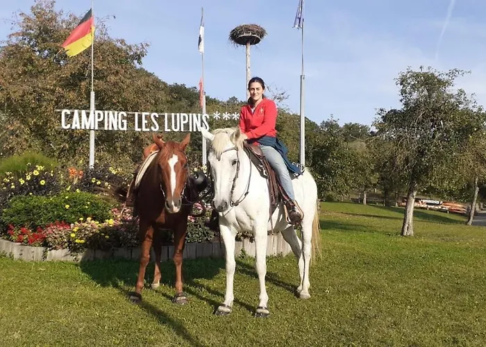 Camping Les Lupins