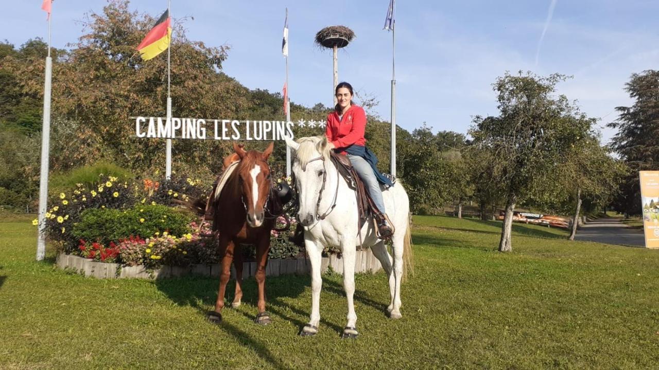 Les Lupins Camping 3*
